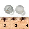 Frosted Transparent Acrylic Beads OACR-F013-13F-3