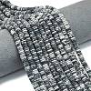 Frosted Natural Black Netstone Beads Strands G-K389-C24-01-1