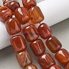 Natural Red Agate Beads Strands G-H295-F01-15-5