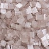 MIYUKI TILA Beads SEED-J020-TL2553-1