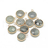 Natural Labradorite Pendants X-G-Q964-12G-1