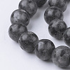 Natural Black Larvikite Bead Strands G-G735-57-12mm-3