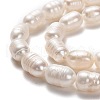 Natural Cultured Freshwater Pearl Beads Strands PEAR-L033-76-2