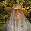 Preciosa® MAXIMA Crystal Fancy Stones Y-PRC-FG15-10220-5