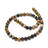 Natural Ocean Jasper Beads Strands G-P075-55-8mm-3