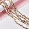 Drawbench Style Natural Freshwater Shell Beads Strands X-SHEL-F003-10B-2