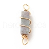Natural Indian Agate Connector Charms PALLOY-JF01580-02-2