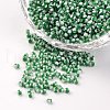 12/0 Opaque Colours Seep Glass Beads SEED-M008-C04-1