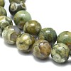 Natural Rhyolite Jasper Beads Strands G-F674-03A-8mm-3