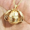 Alloy Pendant Necklaces NJEW-H031-01B-KCG-1
