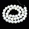 Natural Trochid Shell/Trochus Shell Beads Strands SSHEL-S266-023A-04-2