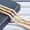  1 Strand Natural Trochid Shell/Trochus Shell Beads Strands BSHE-NB0001-18-2
