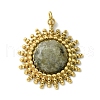 Ion Plating(IP) 304 Stainless Steel Pave Faceted Natural Labradorite Pendants FIND-Z028-38C-1