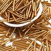 Silver Lined Transparent Glass Bugle Beads SEED-R028-2x20-B01-1