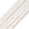 Natural Freshwater Shell Beads Strands X-SSHEL-C013-04B-1
