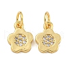 Rack Plating Brass Micro Pave Clear Cubic Zirconia Charms KK-U030-09G-1