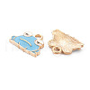 Alloy Enamel Pendants ENAM-N054-63B-NR-3