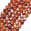 Natural Red Agate Beads Strands G-C116-A119-01-2
