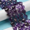 Natural Amethyst Beads Strands G-C062-A08-01-2