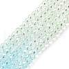 Transparent Glass Beads Strands GLAA-L045-01B-05-2