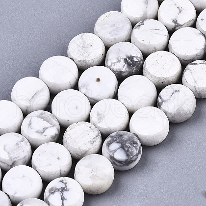 Natural Howlite Beads Strands G-N328-023-1