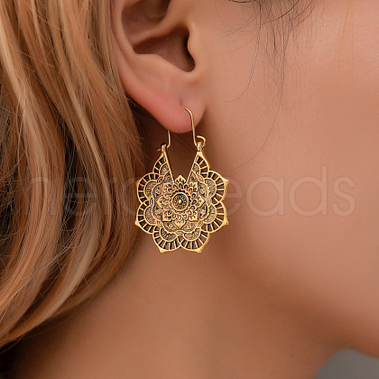 Bohemian Style Alloy Hoop Earrings FS-WG8FE08-01-1