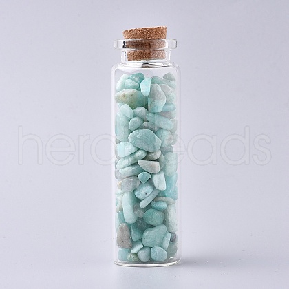 Glass Wishing Bottle DJEW-L013-A02-1