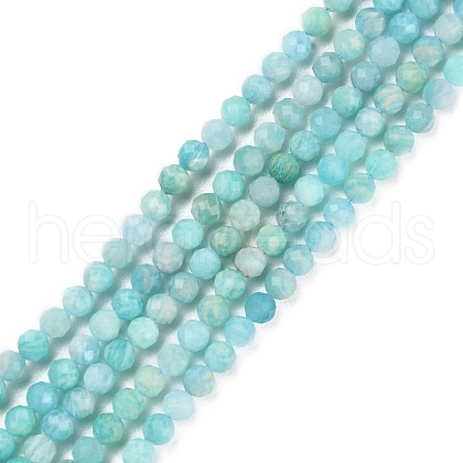 Natural Amazonite Beads Strands X-G-P500-01B-01-1