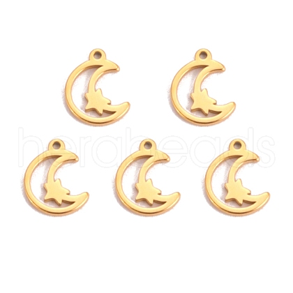 304 Stainless Steel Charms PW-WG1968C-02-1