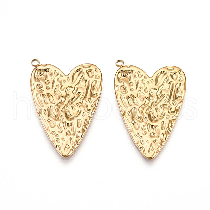 304 Stainless Steel Pendants STAS-N109-85G-1