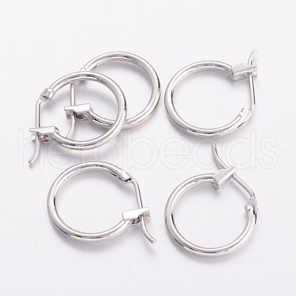Brass Hoop Earrings EC261-NF-1