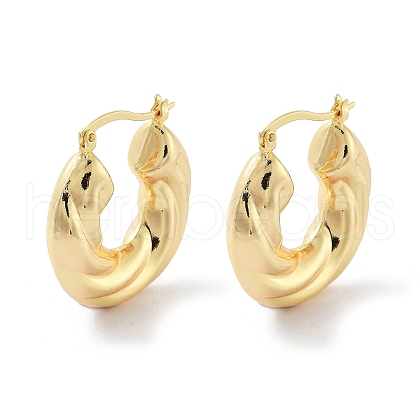 Brass Hoop Earrings EJEW-H301-01G-03-1