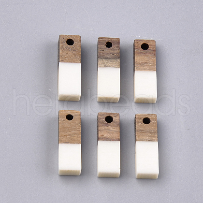 Resin & Walnut Wood Pendants RESI-S358-19B-1