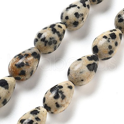 Natural Dalmatian Jasper Beads Strands G-B106-A29-02-1