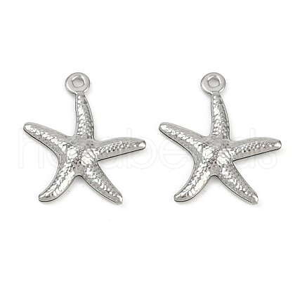 Ocean 304 Stainless Steel Pendants STAS-P390-01C-P-1