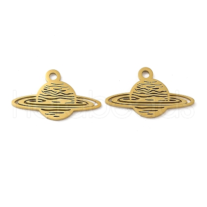 Ion Plating(IP) 304 Stainless Steel Pendants STAS-J042-24G-1