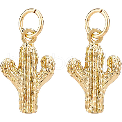 BENECREAT 10Pcs Brass Pendants KK-BC0007-41-1