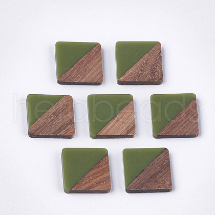 Resin & Wood Cabochons X-RESI-S358-90C-1