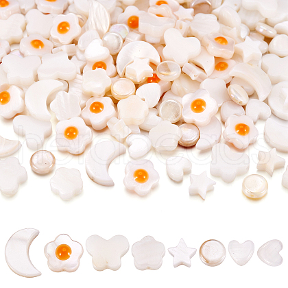  160Pcs 8 Styles Natural Freshwater Shell Beads Strands SHEL-TA0001-08-1