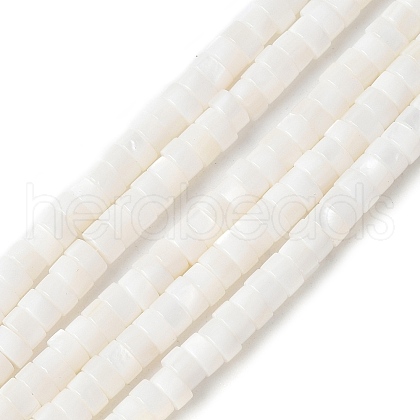 Natural Freshwater Shell Beads Strands X-SSHEL-C013-04B-1