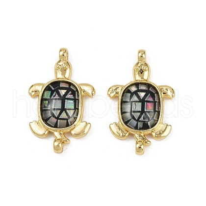 Brass Pave Natural Paua Shell Tortoise Connector Charms KK-C093-21G-1