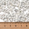 Baking Paint Glass Seed Beads X1-SEED-F006-01A-09-4