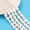 Natural Cultured Freshwater Pearl Beads Strands PEAR-P064-20O-01A-1