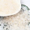 Frosted Glass Beads FGLA-D300-01L-1