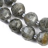Natural Labradorite Beads Strands G-G182-B02-06-4