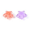 Transparent Acrylic Beads OACR-N147-03-2