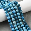 Natural Apatite Beads Strands G-S150-18-8mm-9