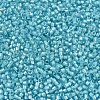MIYUKI Delica Beads X-SEED-J020-DB1708-3