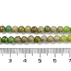 Dyed Natural Regalite/Imperial Jasper/Sea Sediment Jasper Beads Strands G-B124-C04-06-4