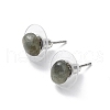 Natural Labradorite Stud Earrings for Women EJEW-E285-01P-03-2
